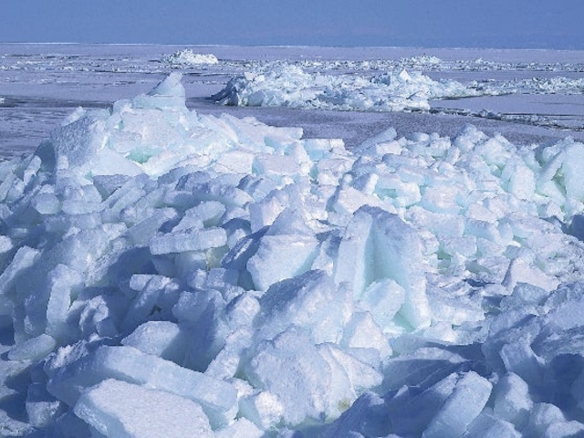 �I�z�[�c�N�C�̗��X