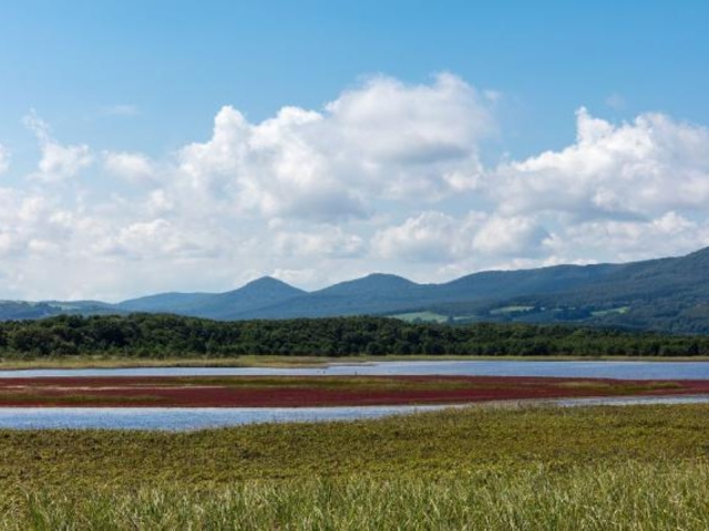 �R���P�����ԉ�