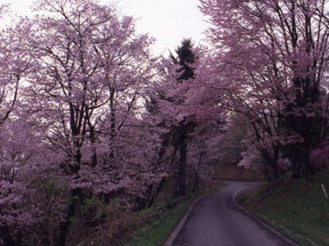 �������u�����̍�_�������u�����̍�