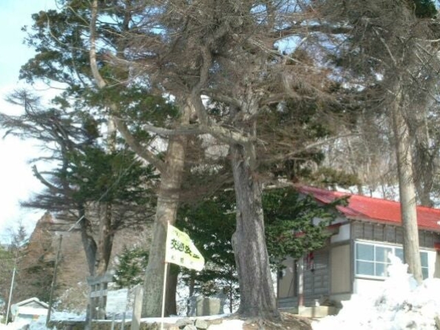 ���_�Ђ̃O�C�}�c_���_�Ђ̃O�C�}�c