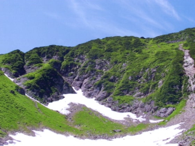 �J���C�G�N�E�`�J�E�V�R�̃J�[���̎ʐ^1