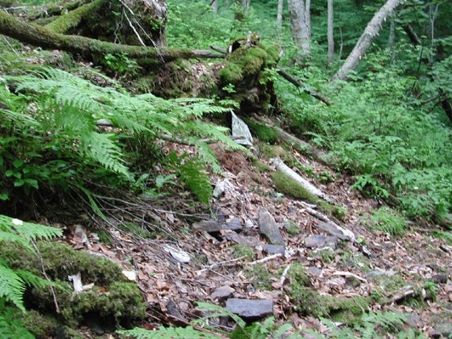 �V��X�̉ĕX�R�����̎ʐ^1