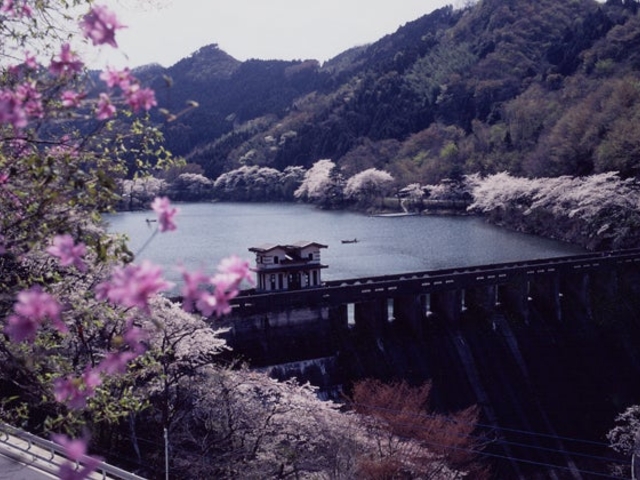 �Ԑ��΂̍��̎ʐ^1