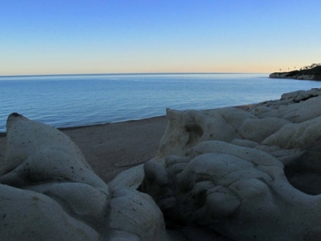 ���҉��~�Ղ̎ʐ^1