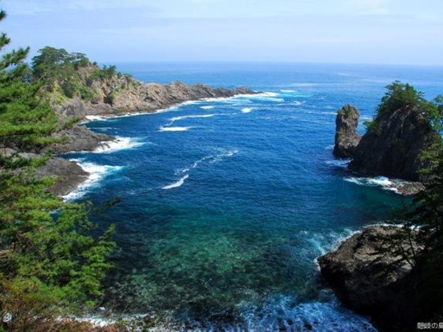 ��y���Y�C�������̎ʐ^1