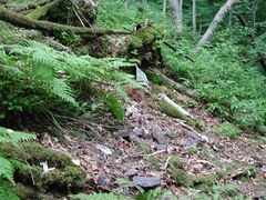 �V��X�̉ĕX�R�����̎ʐ^1