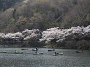 �Ԑ��΂̍��̎ʐ^2