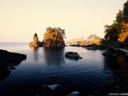 ��y���Y�C�������̎ʐ^2