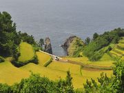 �I�R�哇�̎ʐ^2