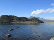 �]�V���̎ʐ^1