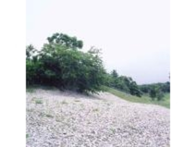 ���m�l�L��_���m�l�L��