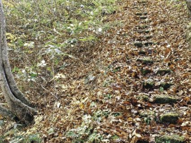 �R������