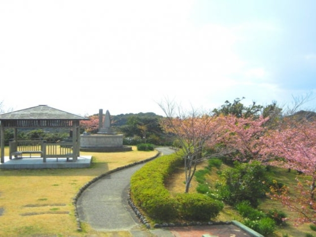 ���R�ˌ����̎ʐ^1