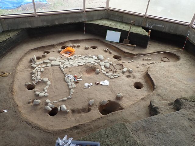 �V�R��Ղ̎ʐ^1