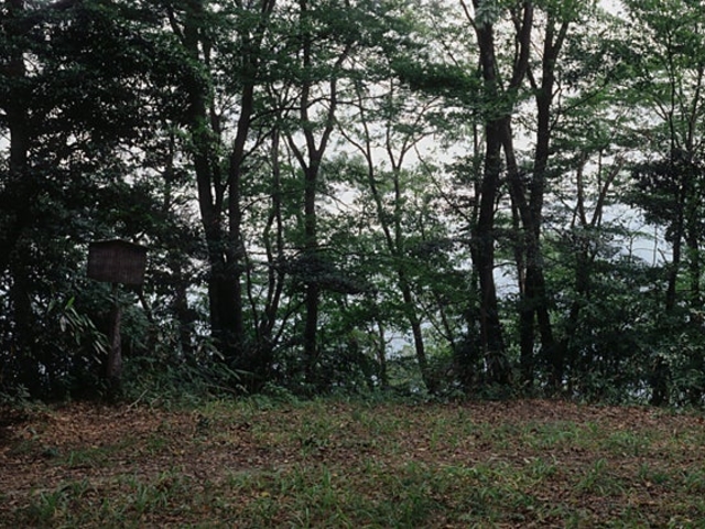 �O�����_�O�����