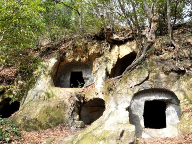 �k�J���J�ˉ�����Q�̎ʐ^1