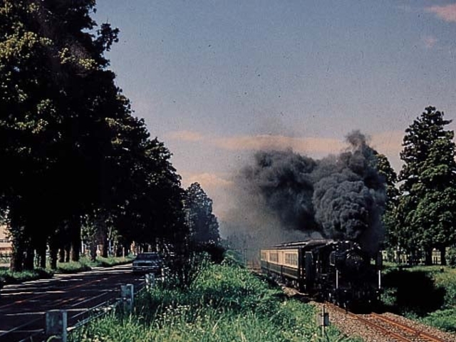 �L��X���e�z������