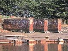 ��f�z�`�Ղ̎ʐ^1