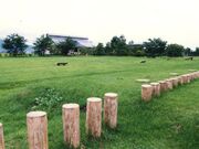 ���O��Ղ̎ʐ^1