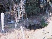 �����̐��S�̎ʐ^1