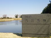 ���c��Ղ̎ʐ^2