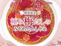 札幌のしゃぶしゃぶ すき焼きランキングtop10 じゃらんnet