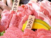 ē̘a {X ֒YΏē̎ʐ^1