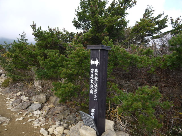 �������獂��_�������獂���X�L�[��