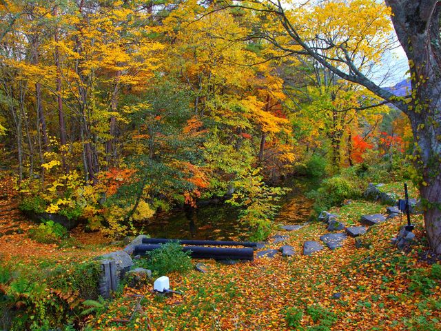 ���֒�X�L�[��