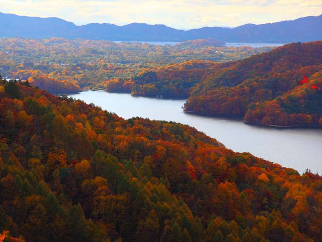 ���֒�X�L�[��