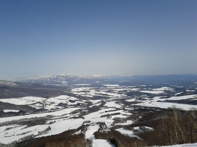 ����X�m�[�G���A