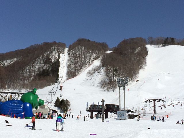 話題の人気 尾瀬戸倉 尾瀬岩鞍スキー場 ペアリフト券 1日券 丸沼高原