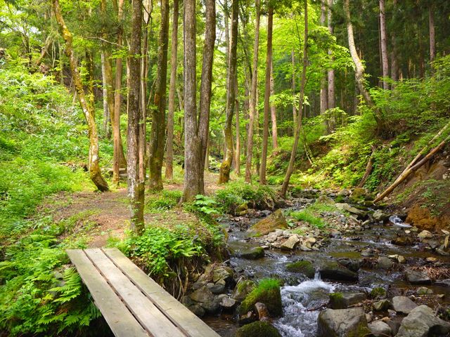 �G���A���ɂ��Y��ȑ򂪗���Ă��āA��V�т��y���߂܂��B_�������ȍ���