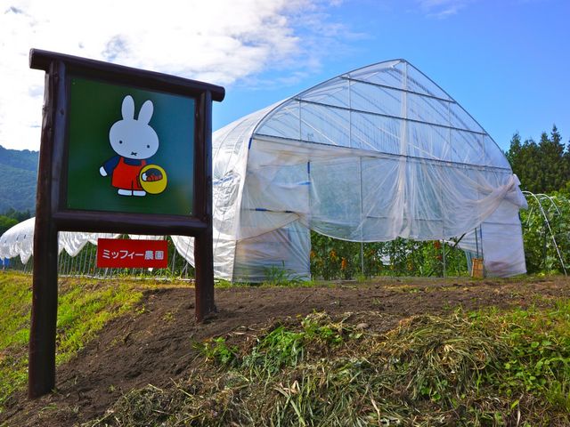 �����̃~�b�t�B�[�_���B�R�O��ވȏ�̖�؂���ĂĂ��āA���̎��̏{�̖�؂����n�ł��܂��B_�������ȍ���