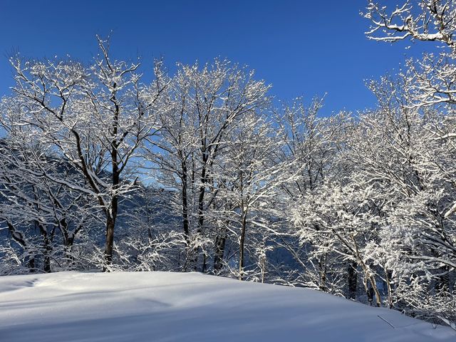 �y�~�z�X�L�[��_�L���[�s�b�g�o���C