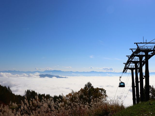 営業開始頃なら雲海が見れる可能性も。また、天気が良い日は遠くに富士山が見えることも！_妙高杉ノ原スキー場