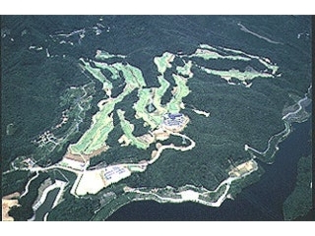 ���Ȃ��S���t��y���̎ʐ^1