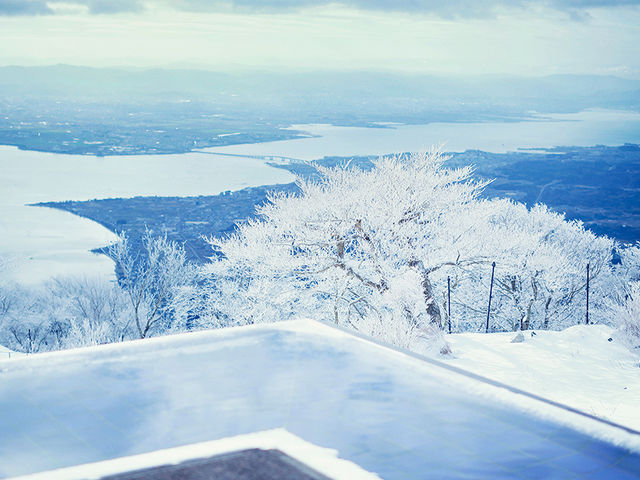 �O�����h�e���X_�т�΃o���C