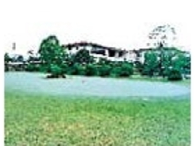 �L�n�J���c���[��y���̎ʐ^1