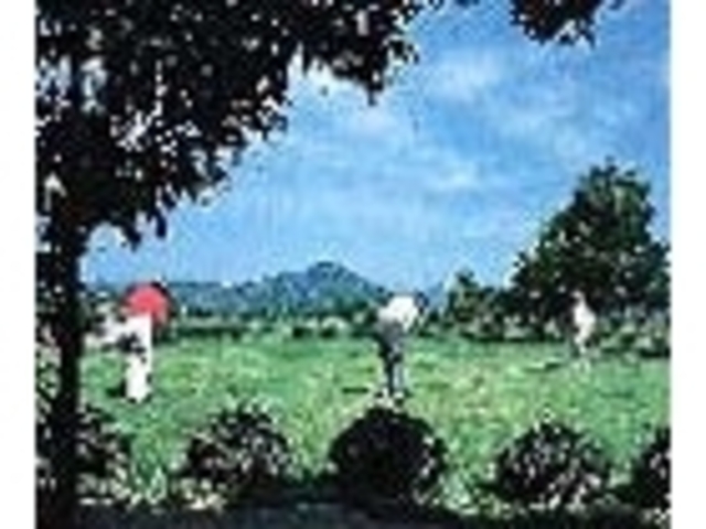 �O�c�S���t�N���u�̎ʐ^1