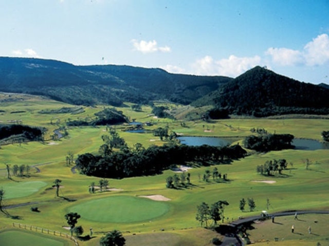 ������R�S���t��y���̎ʐ^1