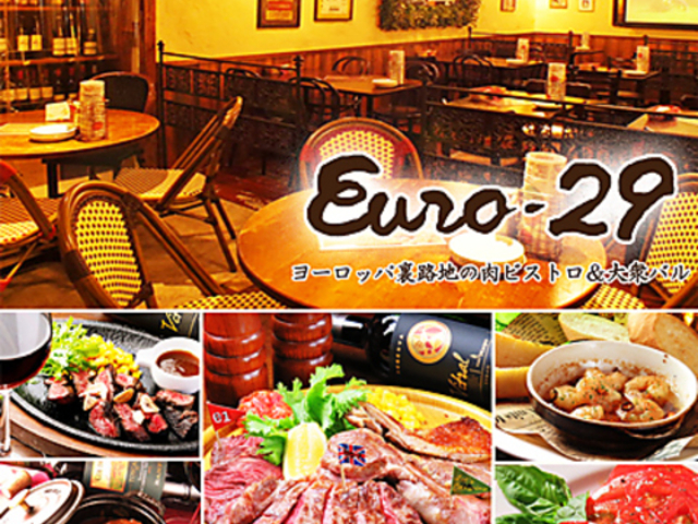 Euro-29 X̎ʐ^1