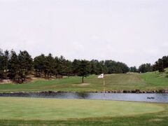 ���{���C���S���t��y���̎ʐ^1