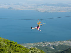 �т�΃o���C�̎ʐ^1