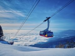 �т�΃o���C�̎ʐ^1