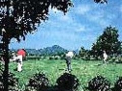 �O�c�S���t�N���u�̎ʐ^1