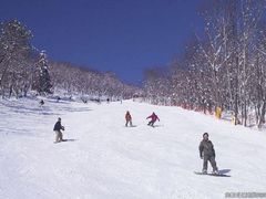 めがひらスキー場の写真1