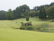 �t�H���X�g�J���g���[��y���̎ʐ^3