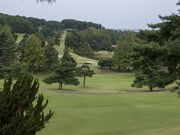 �t�H���X�g�J���g���[��y���̎ʐ^4