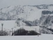 IOX-AROSAiCIbNXA[Uj̎ʐ^3